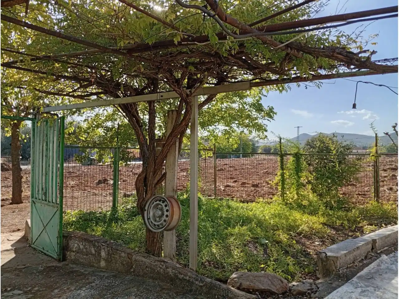 Terreno rústico en venta en Carretera La Yedra, imagen 15