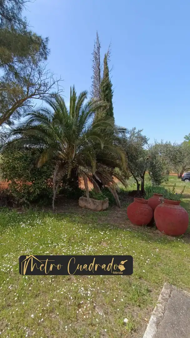 Jardín de Finca rústica en venta en Almendralejo con Terraza, Trastero y Piscina