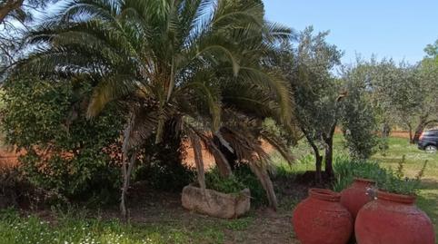 Foto 2 de Finca rústica en venda a Almendralejo, Badajoz