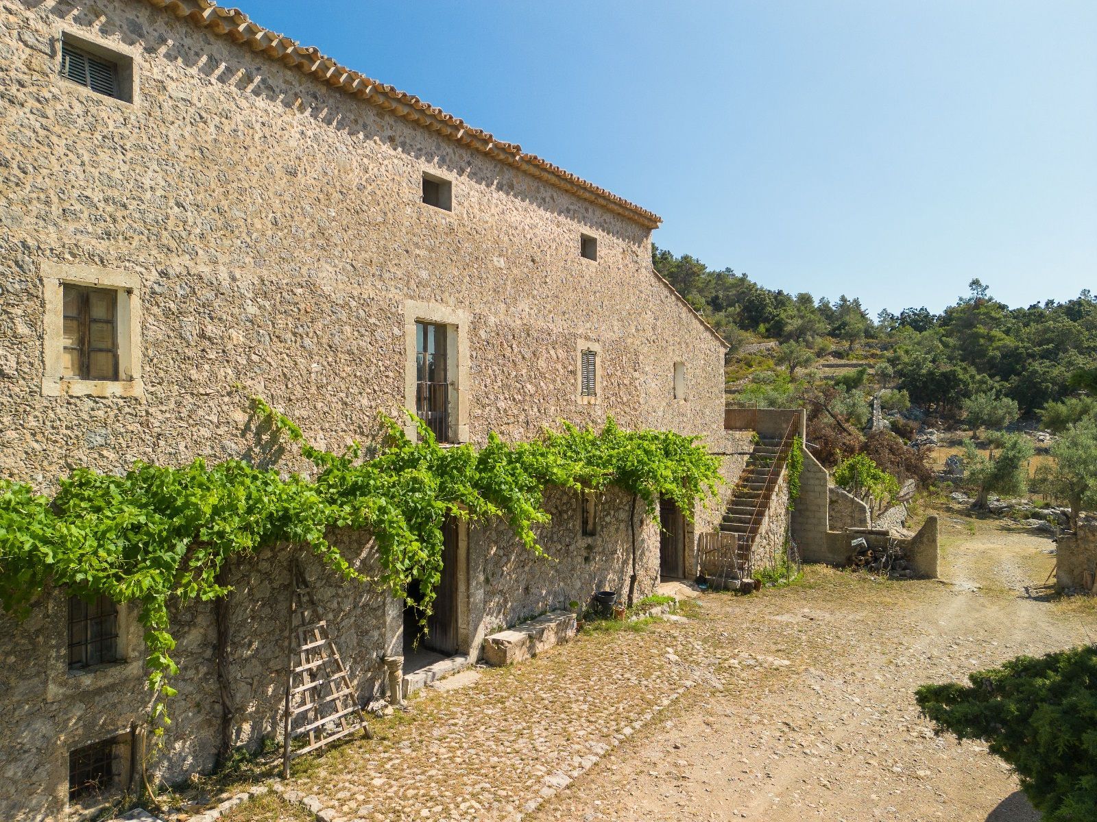 Vista exterior de Finca rústica en venda en Escorca amb Jardí privat, Terrassa i Traster
