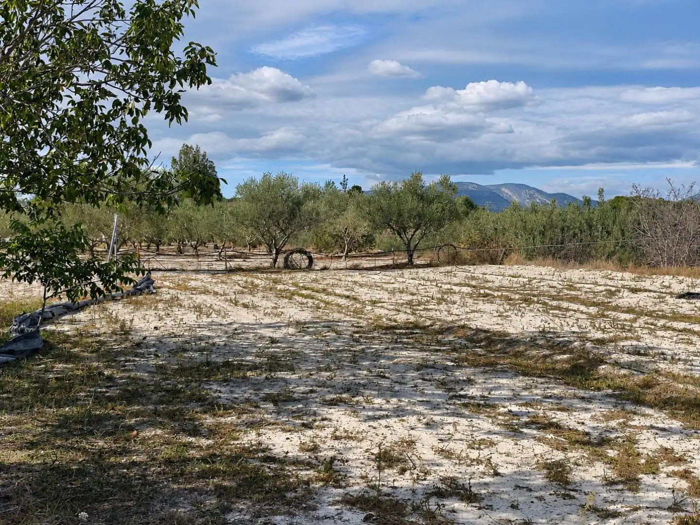 Villa mit Garten zum Verkauf in Albaida, imagen 25