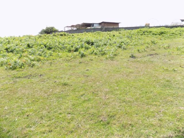 Terreno residencial en Venta en Porceyo