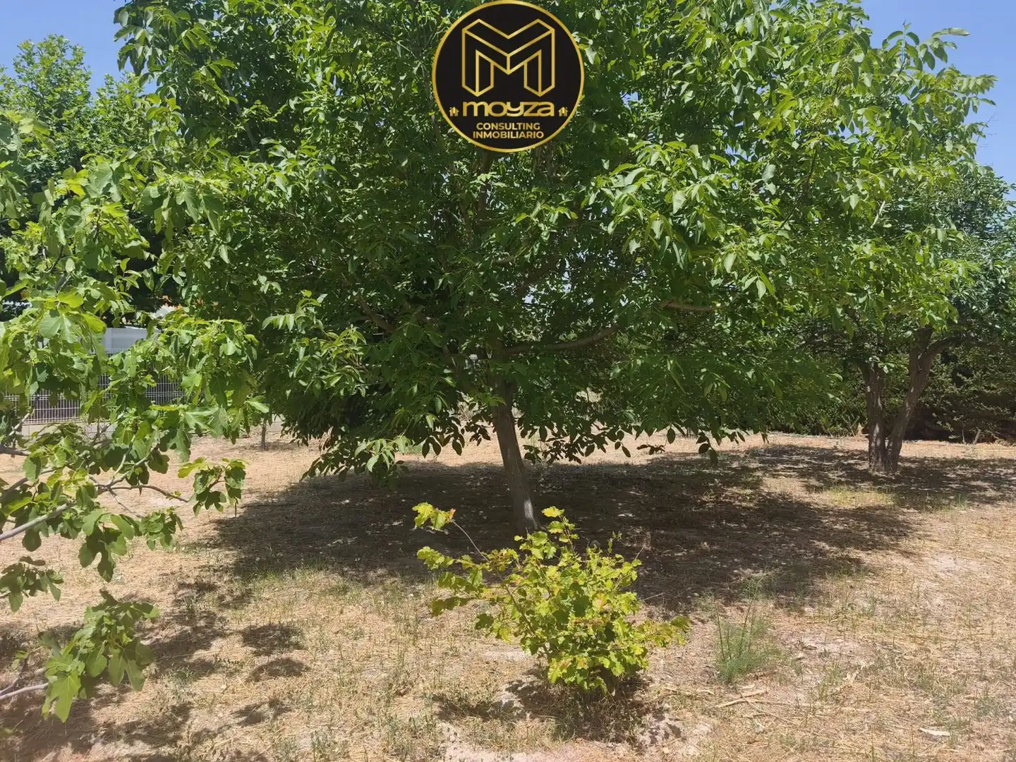 Villa à vendre à La Guardia de Jaén, imagen 17