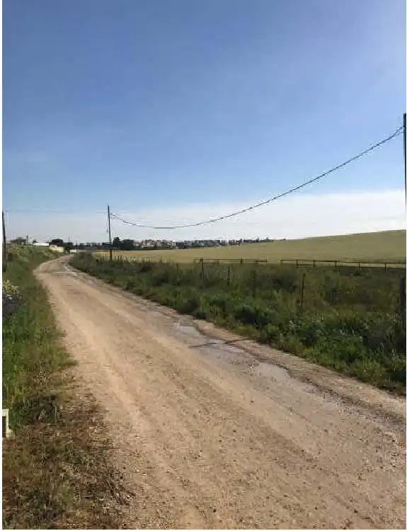 Land for sale in Cm de Carranza, Monteolivete - Camino Sevilla