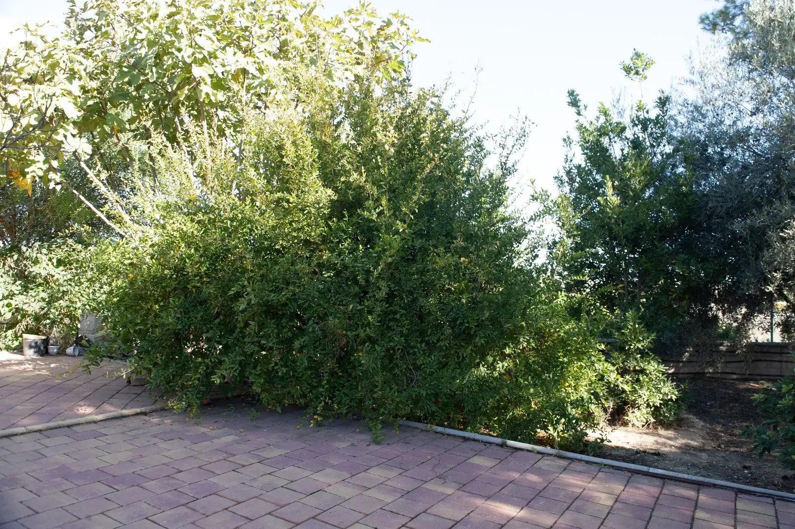 Villa con giardino in vendita a Calle Montalbán, imagen 28