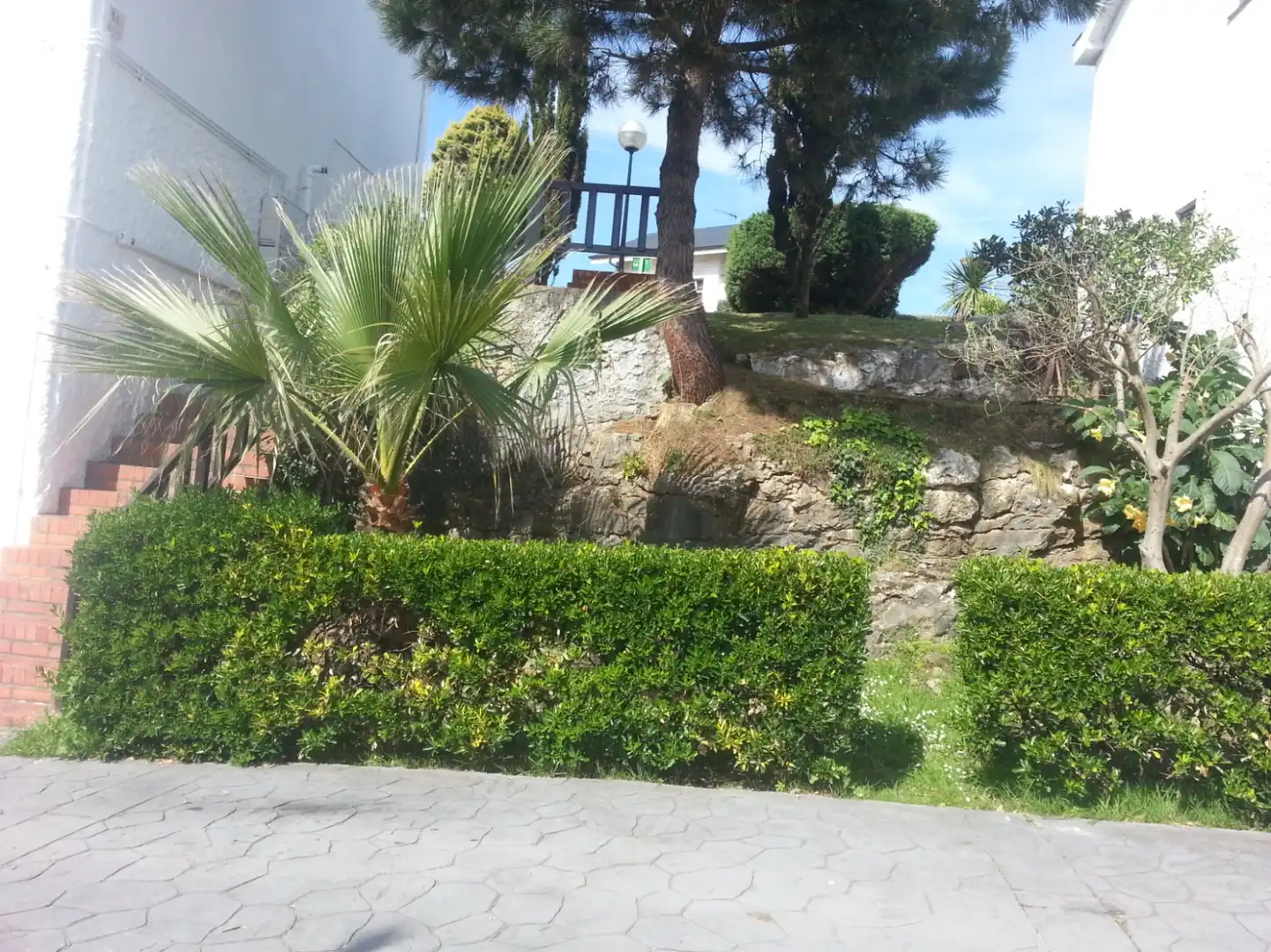 Garden of Flat for rent in Mogro