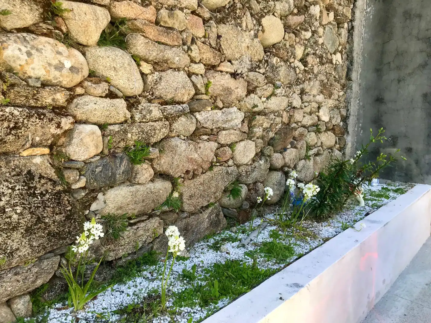 Jardí de Casa o xalet en venda en Porto do Son amb Calefacció, Terrassa i Balcó