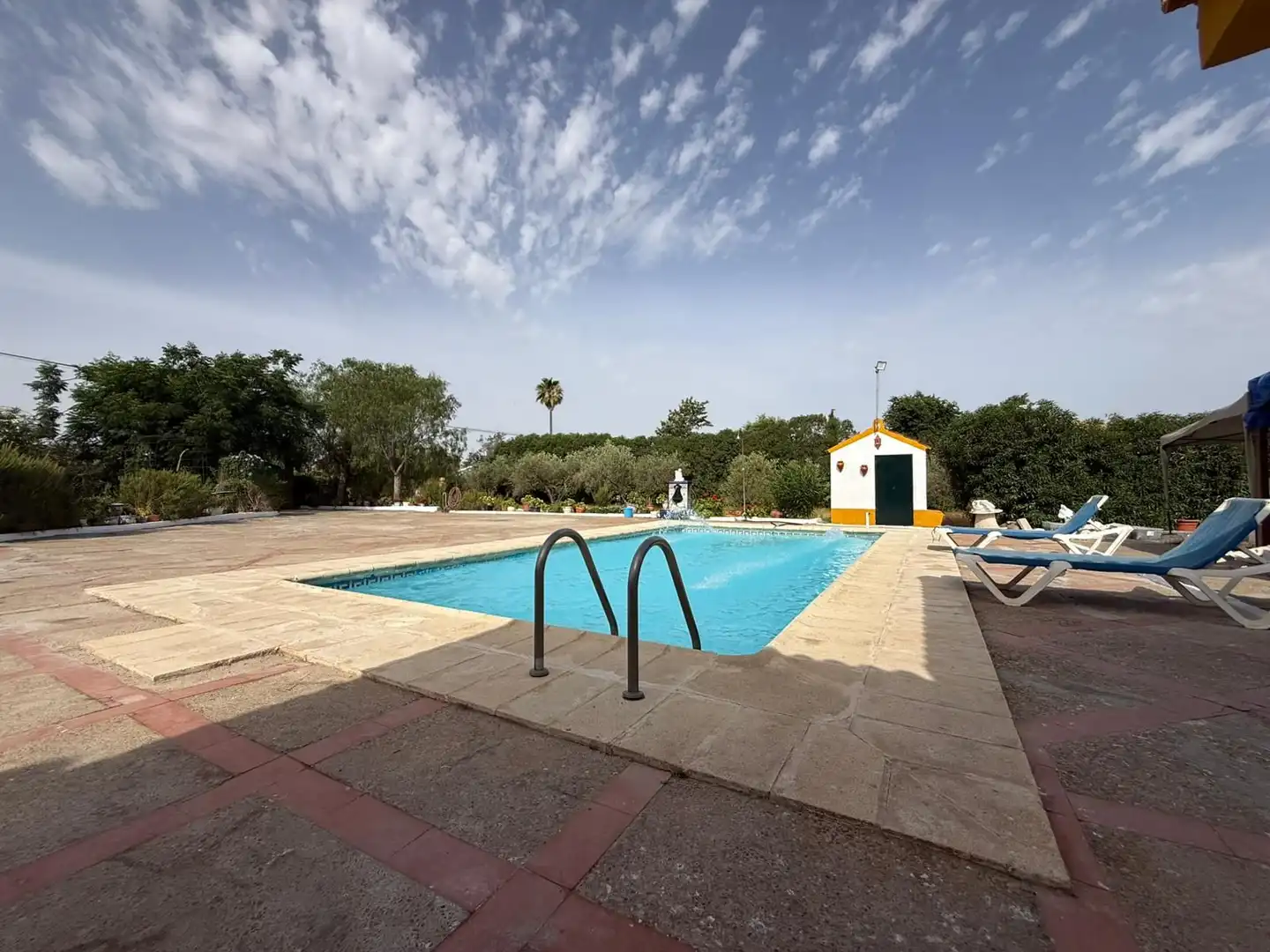 Piscina de Casa o chalet en venta en Carmona con Jardín privado, Terraza y Piscina