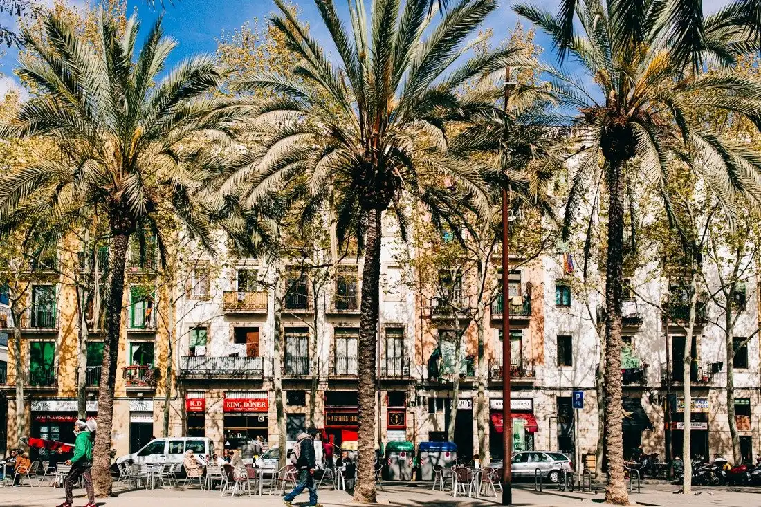 Residencial en venda a Ciutat Vella, imagen 7