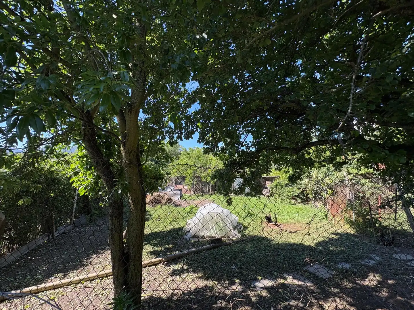 Casa o xalet en venda en Bembibre