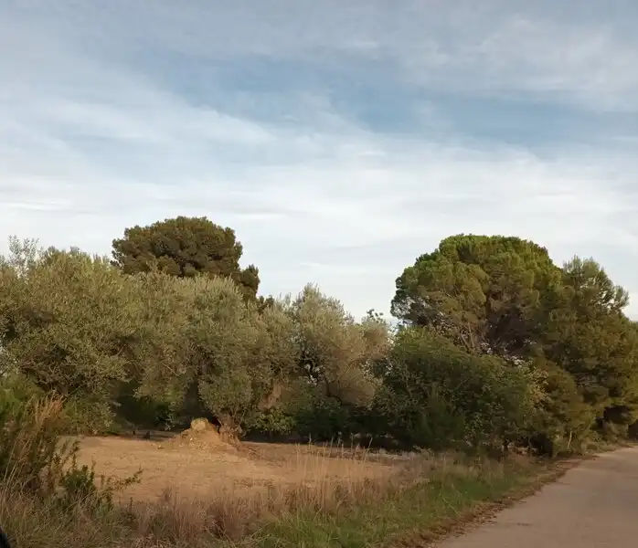 Terreny residencial en venda a San Jorge / Sant Jordi, imagen 6