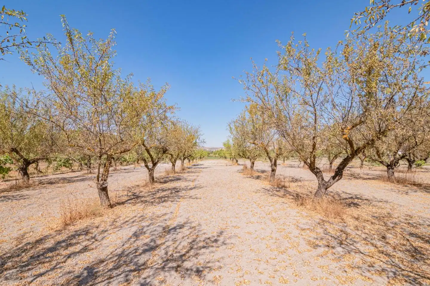 Country house for sale in Calle de Rocio Durcal, imagen 30