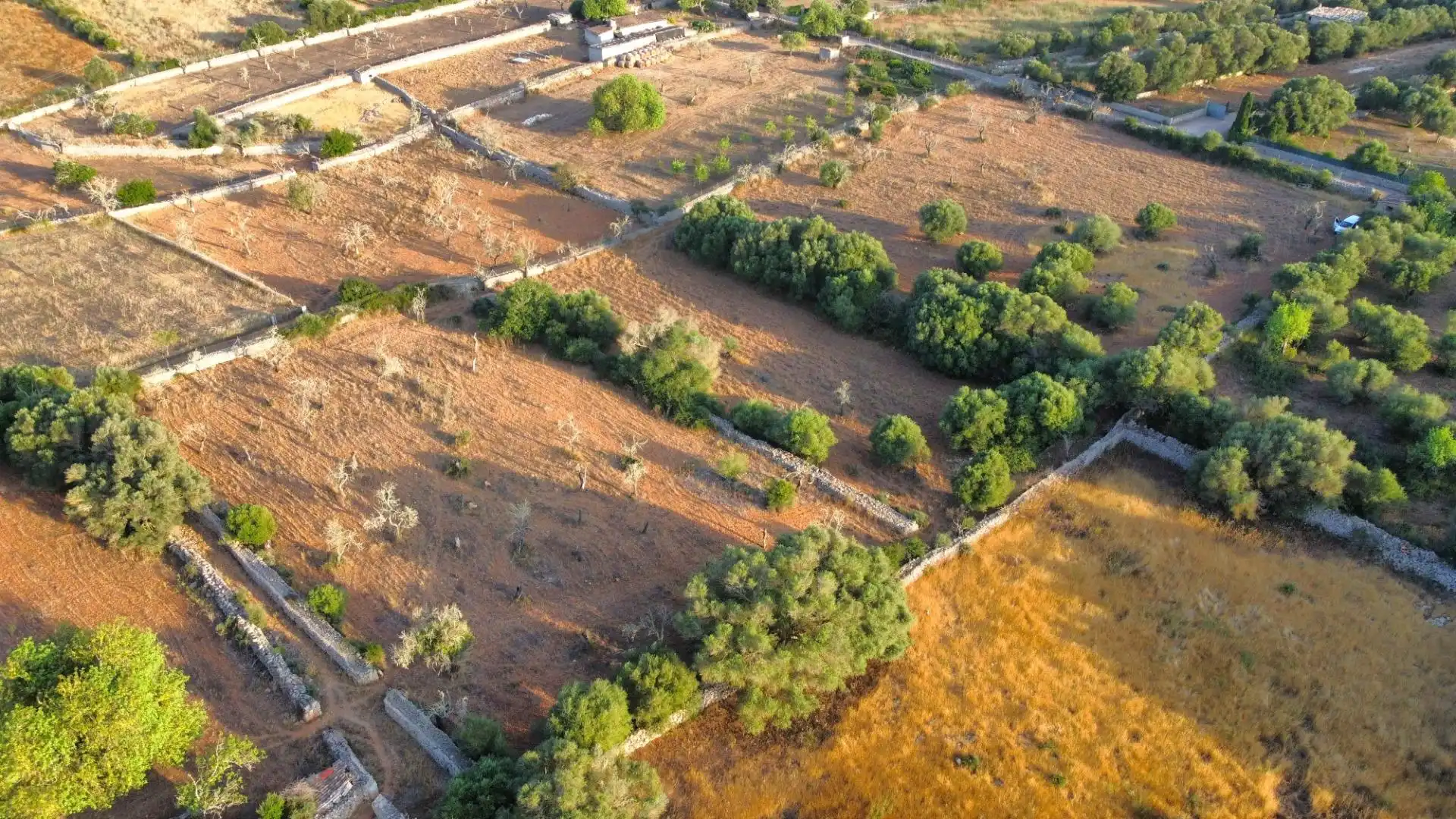 Terreno rustico in vendita a Santa Margalida Poble, imagen 7