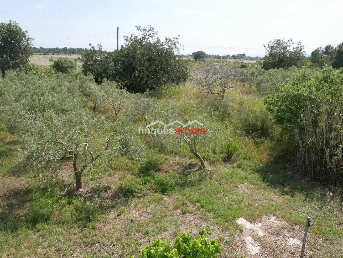 Casa o xalet en venda en Alió amb Aire condicionat, Calefacció i Jardí privat