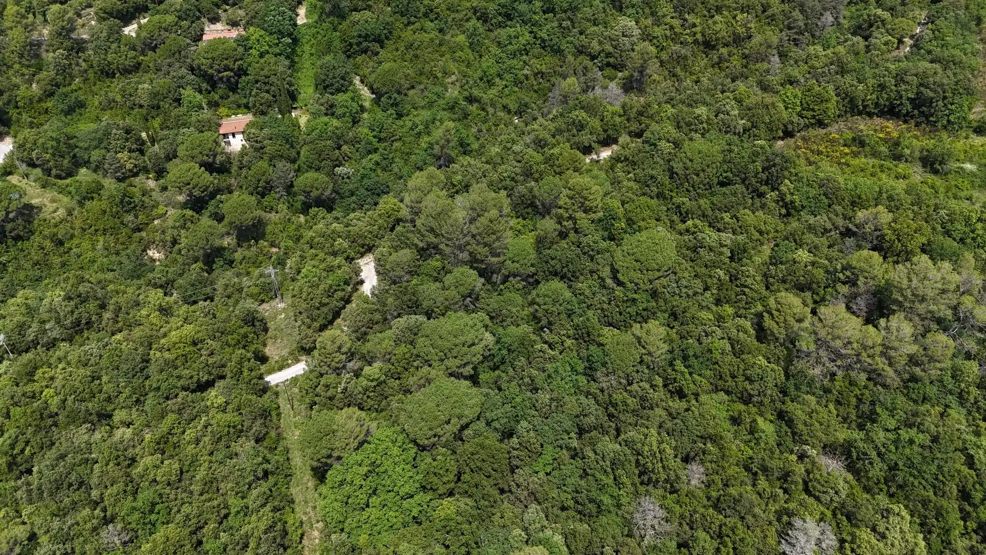 Casa o xalet en venda en Sant Aniol de Finestres amb Aire condicionat, Calefacció i Jardí privat