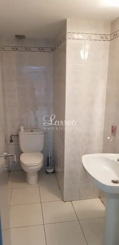 Local comercial de lloguer a Amorebieta-Etxano, imagen 13
