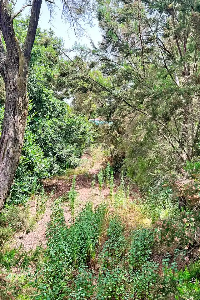 Terrenys i solars en venda a Calle de Rosa Vieja, imagen 6