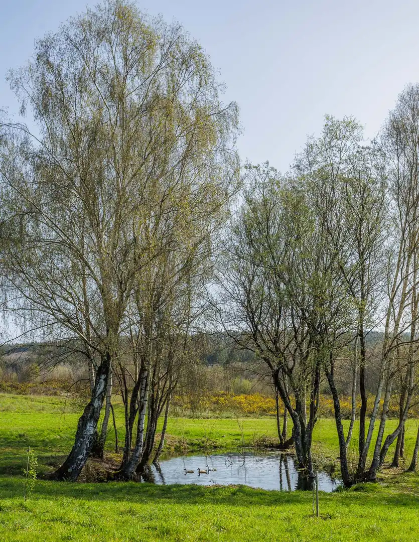 Terreni e lotti in vendita a Parroquias del Este, imagen 17