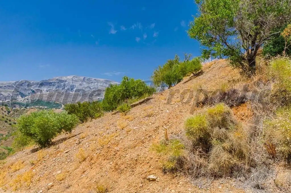 Terreno rústico en venta en Sedella, imagen 10