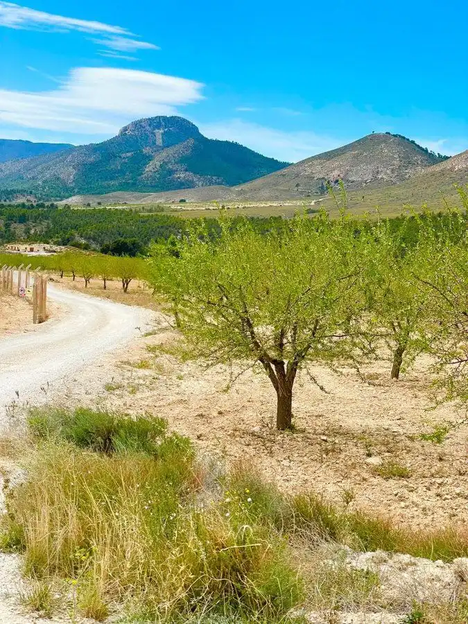 Terreni e lotti in vendita a Pedanías Norte, imagen 2