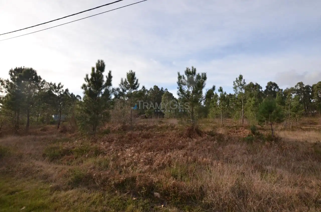 Residential land for sale in LUGAR O MONTE, imagen 13