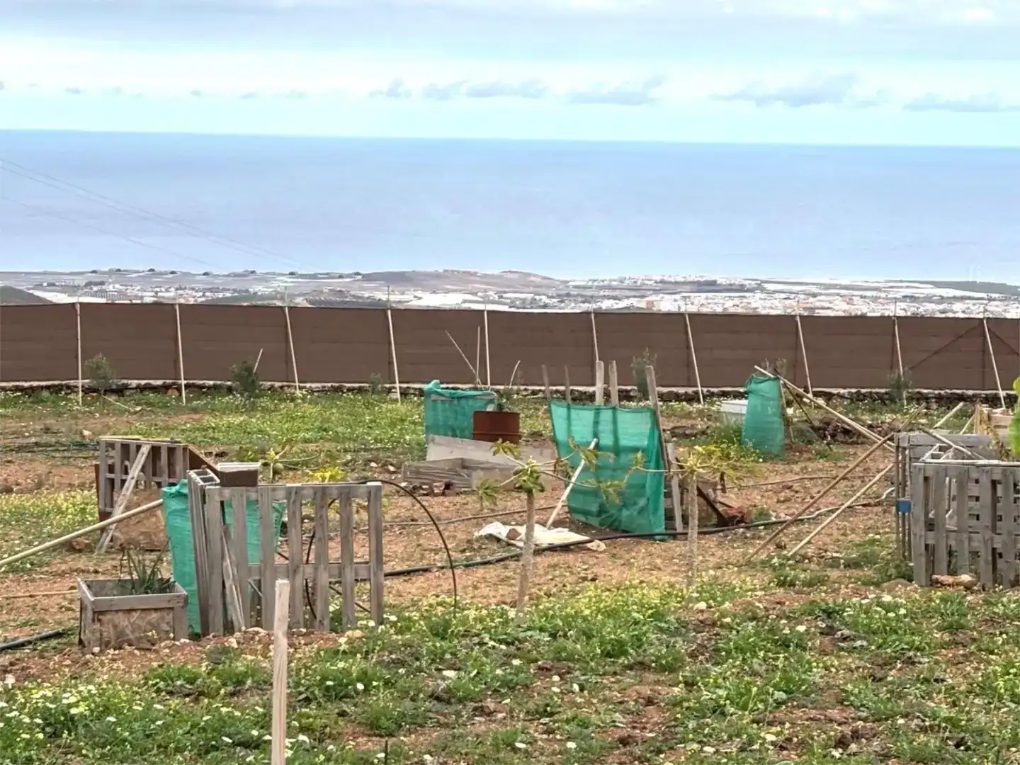 Finca rústica en venda en Ingenio