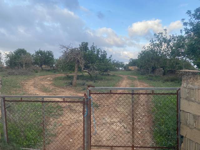 Terreno residencial en Venta en Cami de Son Fullós, 2 en Santa Margalida Poble