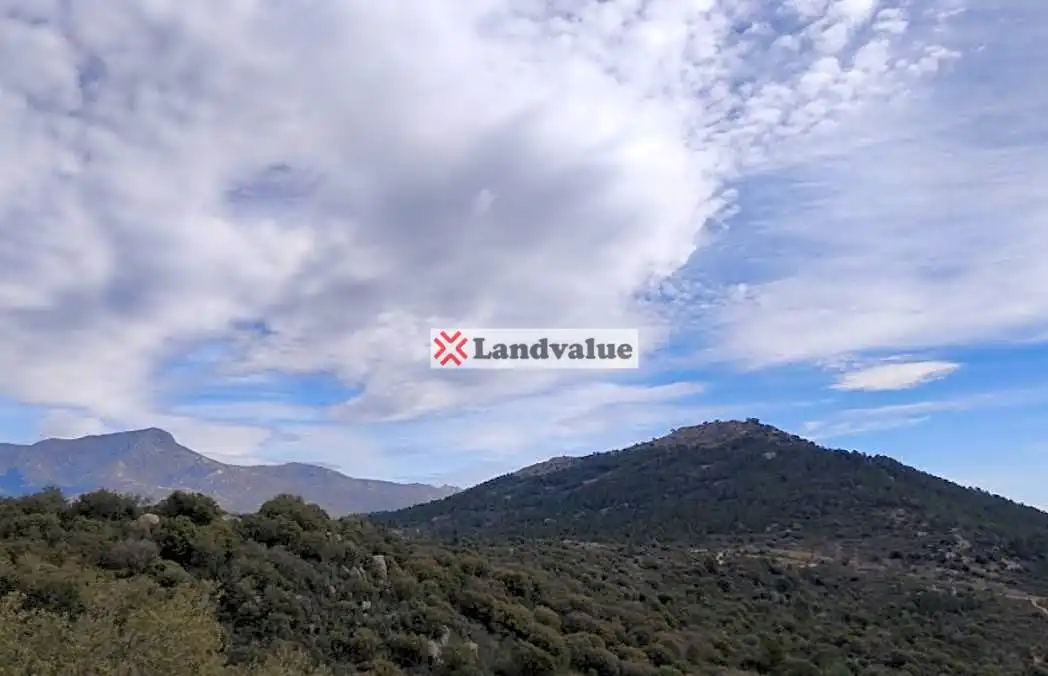 Rural land for sale in FINCA RUSTICA CERRO JARRALON. Polígono 9 Parcela 98, imagen 5