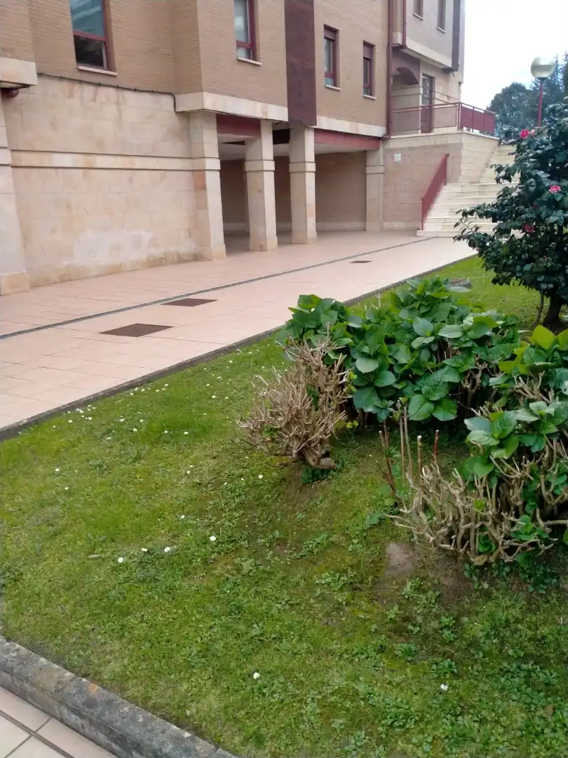 Garten von Lagerraum zum Verkauf in Santander