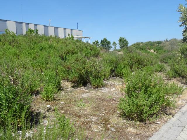 Terreno residencial en Venta en Primera Fase - Nuevo Tres Cantos