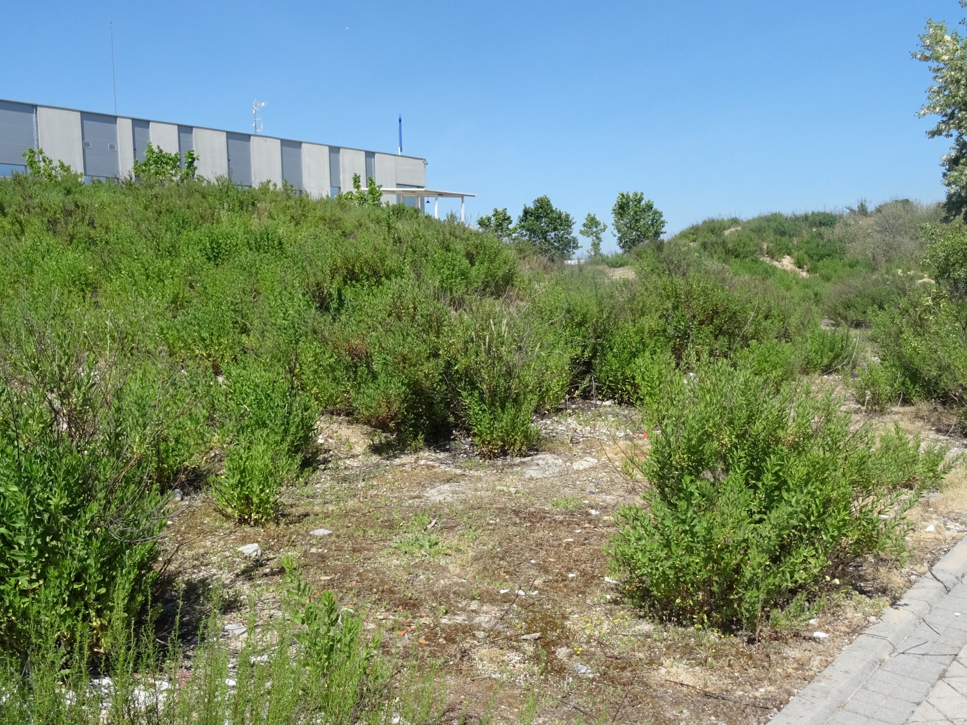 Residencial en venda en Tres Cantos