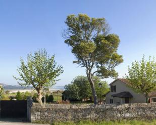 Jardí de Casa o xalet en venda en Ribeira amb Jardí privat, Parquet i Traster