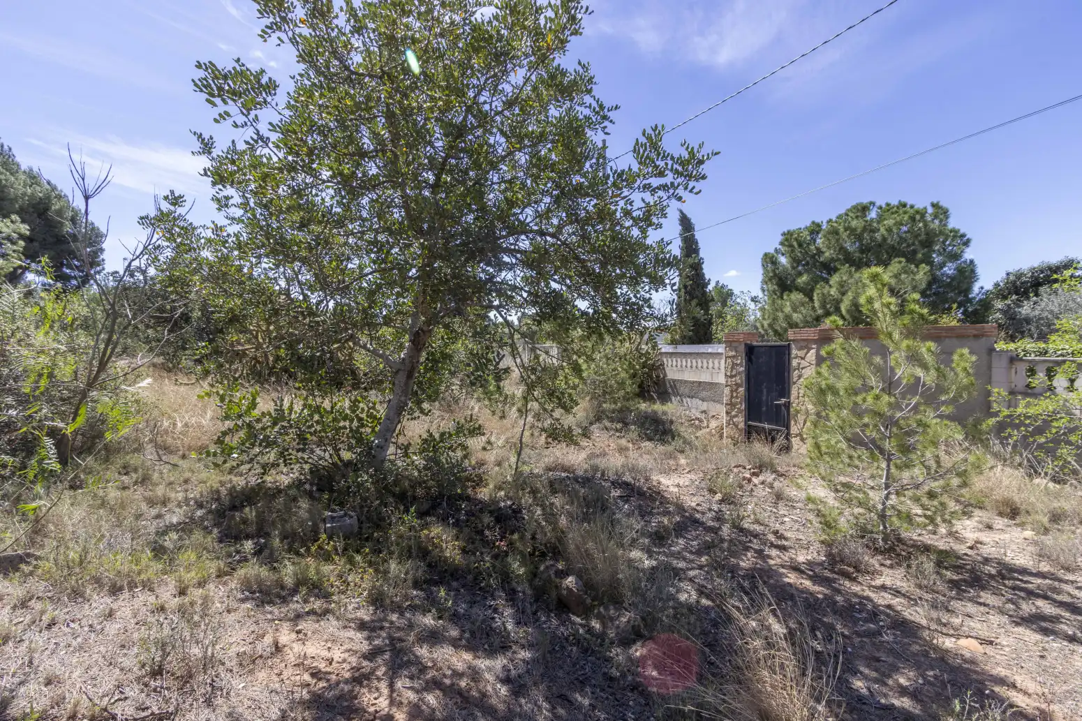 Rural land for sale in La Loma - Las Lomas, imagen 9