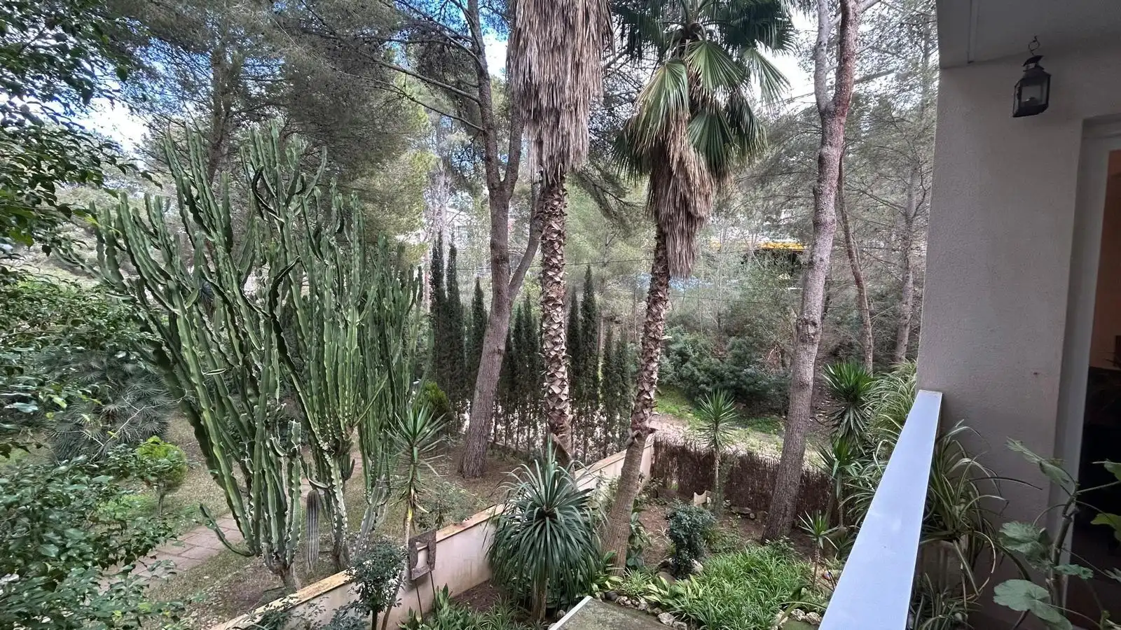 Jardí de Pis en venda en Calvià amb Balcó