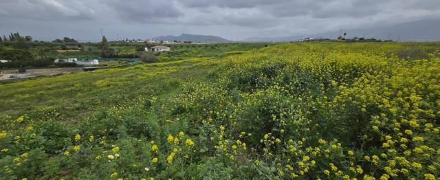 Terreno en Venta en Casalpalma - Fahala