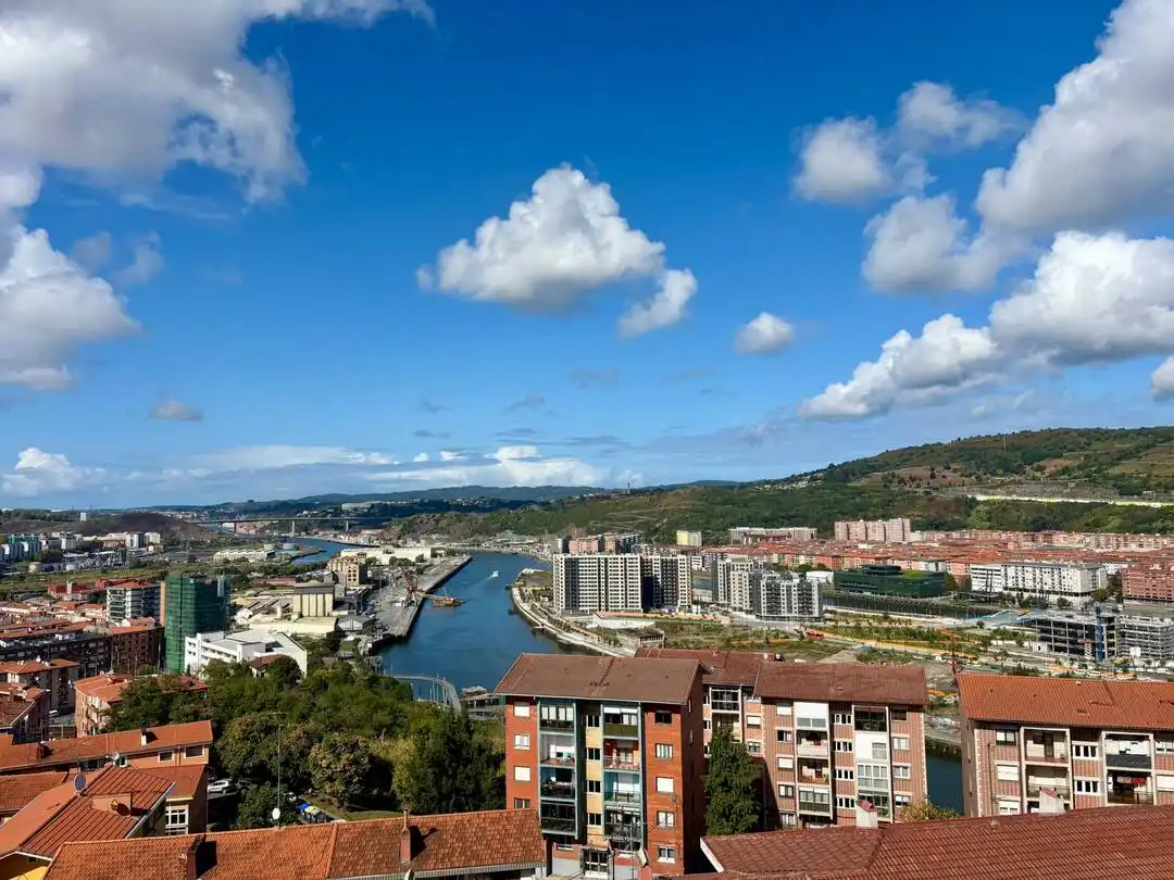 Flat with lift for sale in Grupo Mendigain Etxaldea, imagen 29