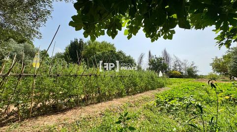 Foto 4 de Casa o xalet en venda a Bassa Torra, Puigverd de Lleida, Lleida