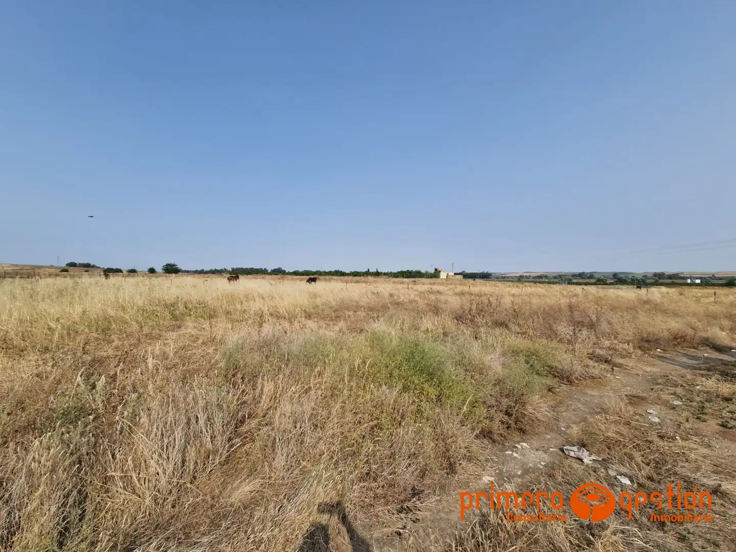 Terrenys i solars en venda a Lora del Río, imagen 3