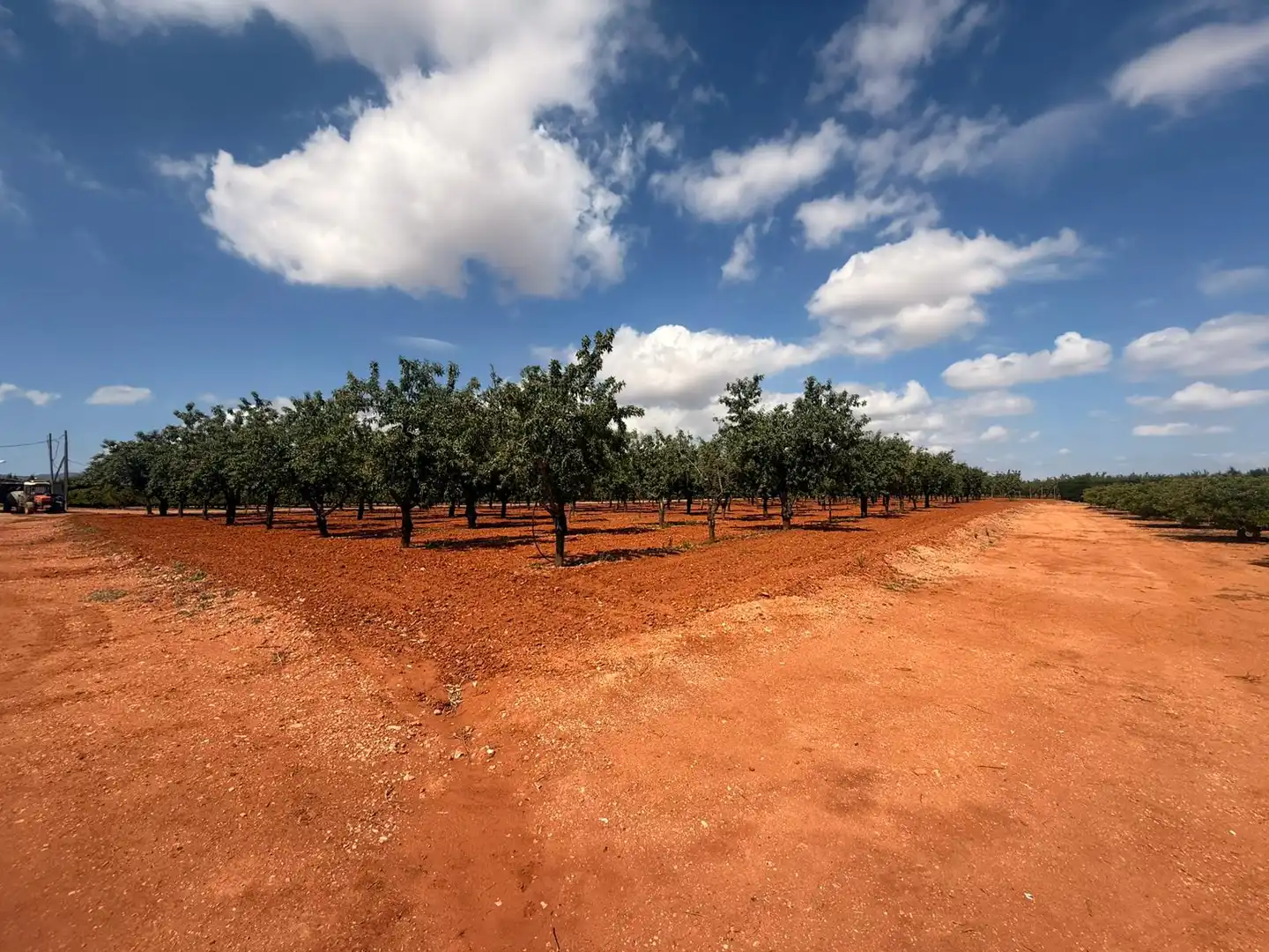 Finca rústica en venda en Cartagena amb Aire condicionat, Terrassa i Traster