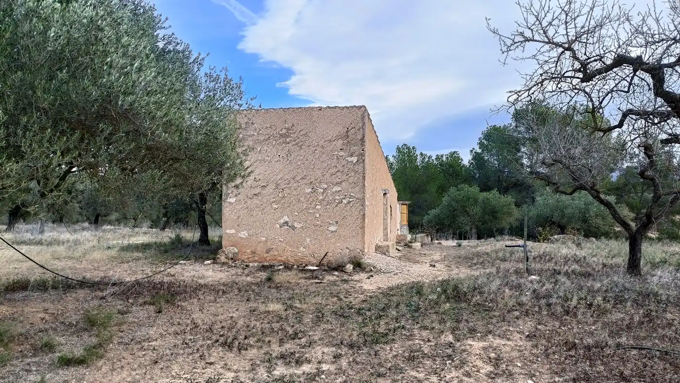 Terrain rustique à vendre à Rasquera, imagen 15