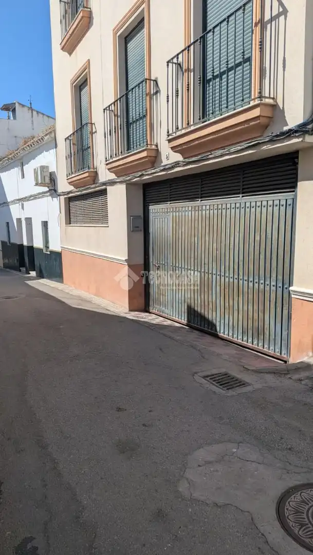 Exterior view of Garage for sale in Marchena