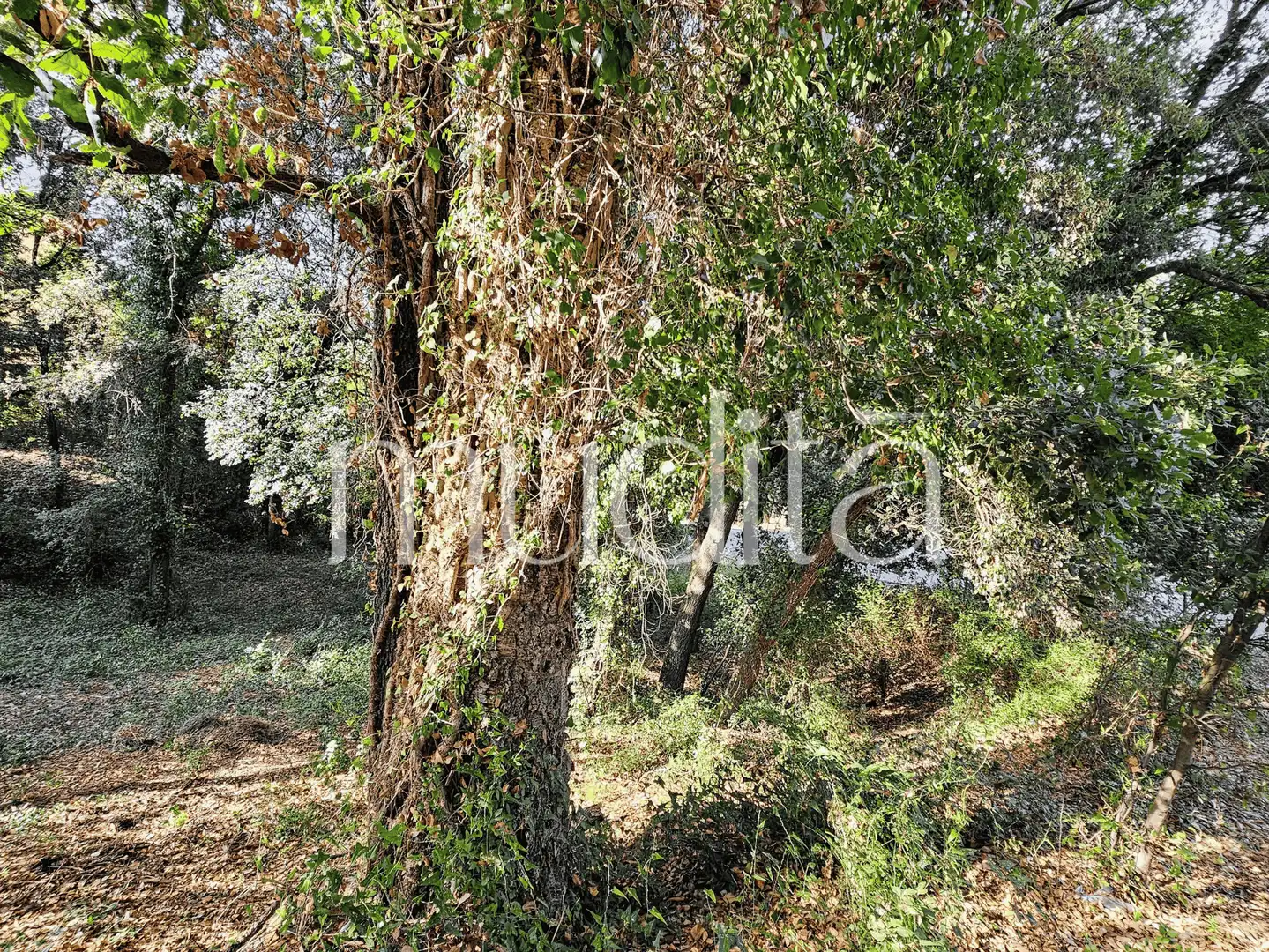 Residential land for sale in del Xaloc, imagen 20
