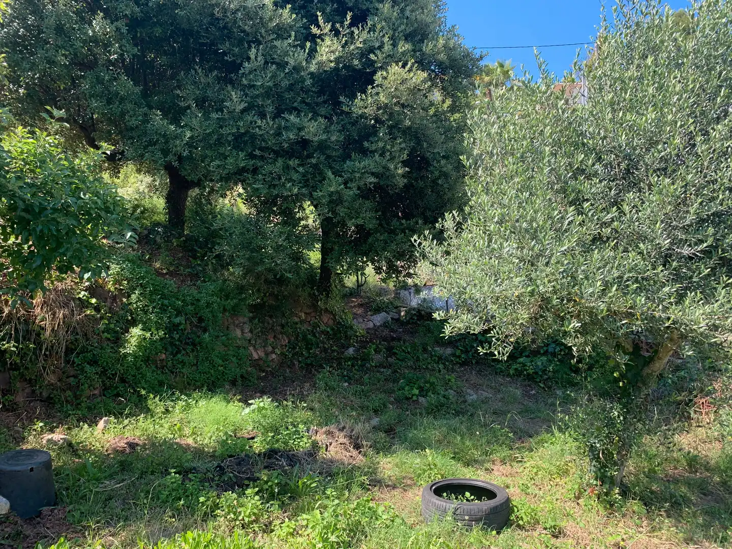 Wohnbaugrundstück zum Verkauf in Corbera de Llobregat, imagen 7