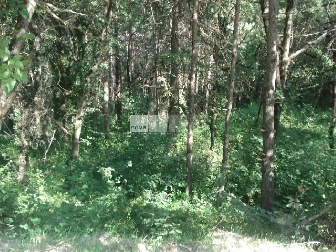 Residential land for sale in Muntanyola