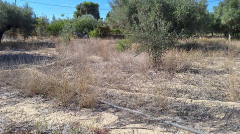 Foto 5 de Terreno en venta en Cañada del Fenollar, Alicante / Alacant