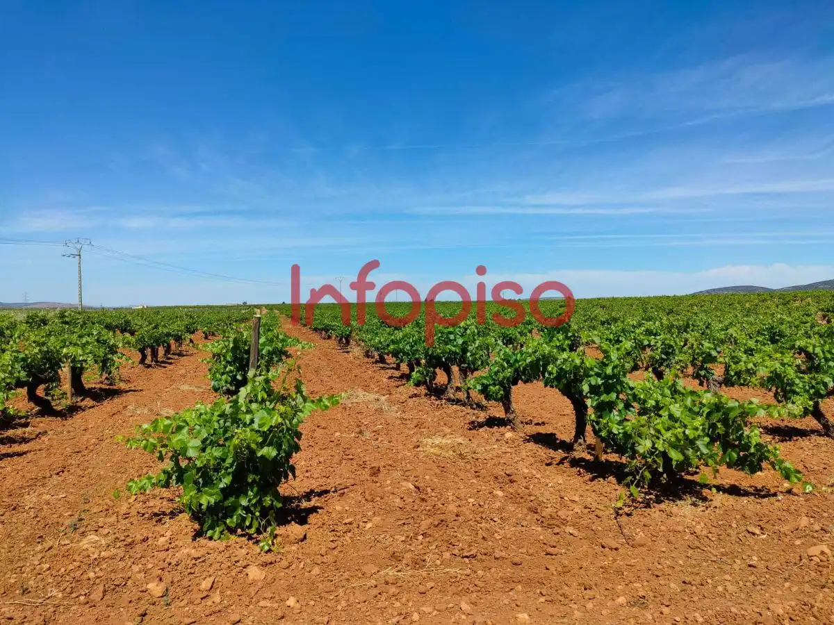 Lands and plots for sale in Valdepeñas, imagen 3