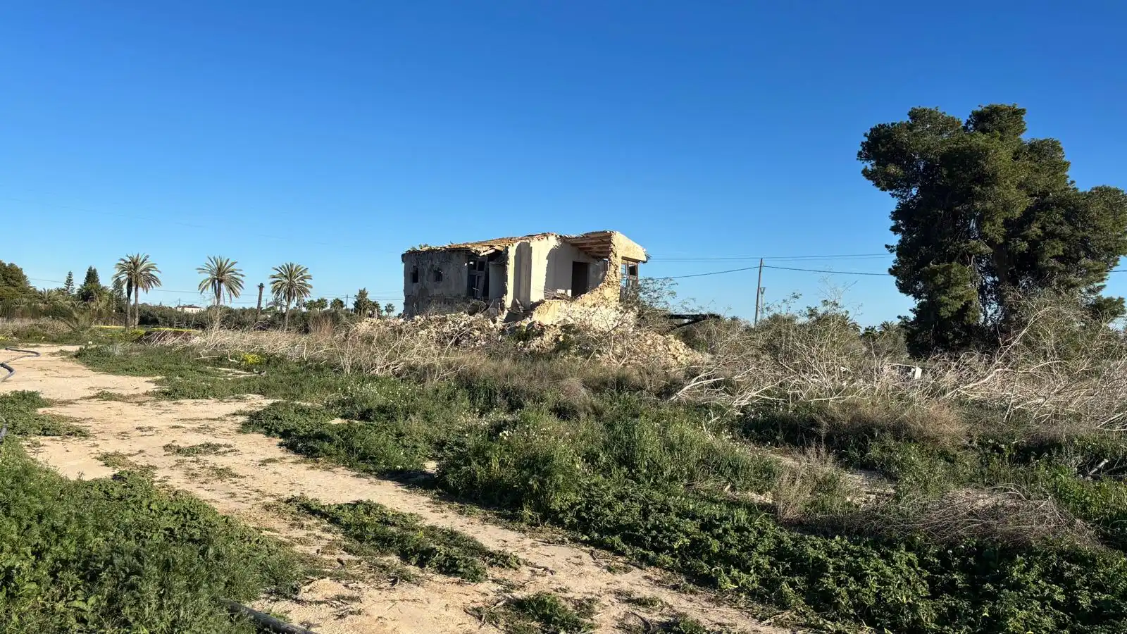 Grundstücke zum Verkauf in Elche / Elx