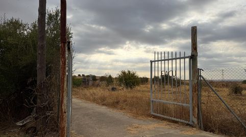 Foto 3 de Finca rústica en venta en Carretera Villar el, 4, Trigueros, Huelva