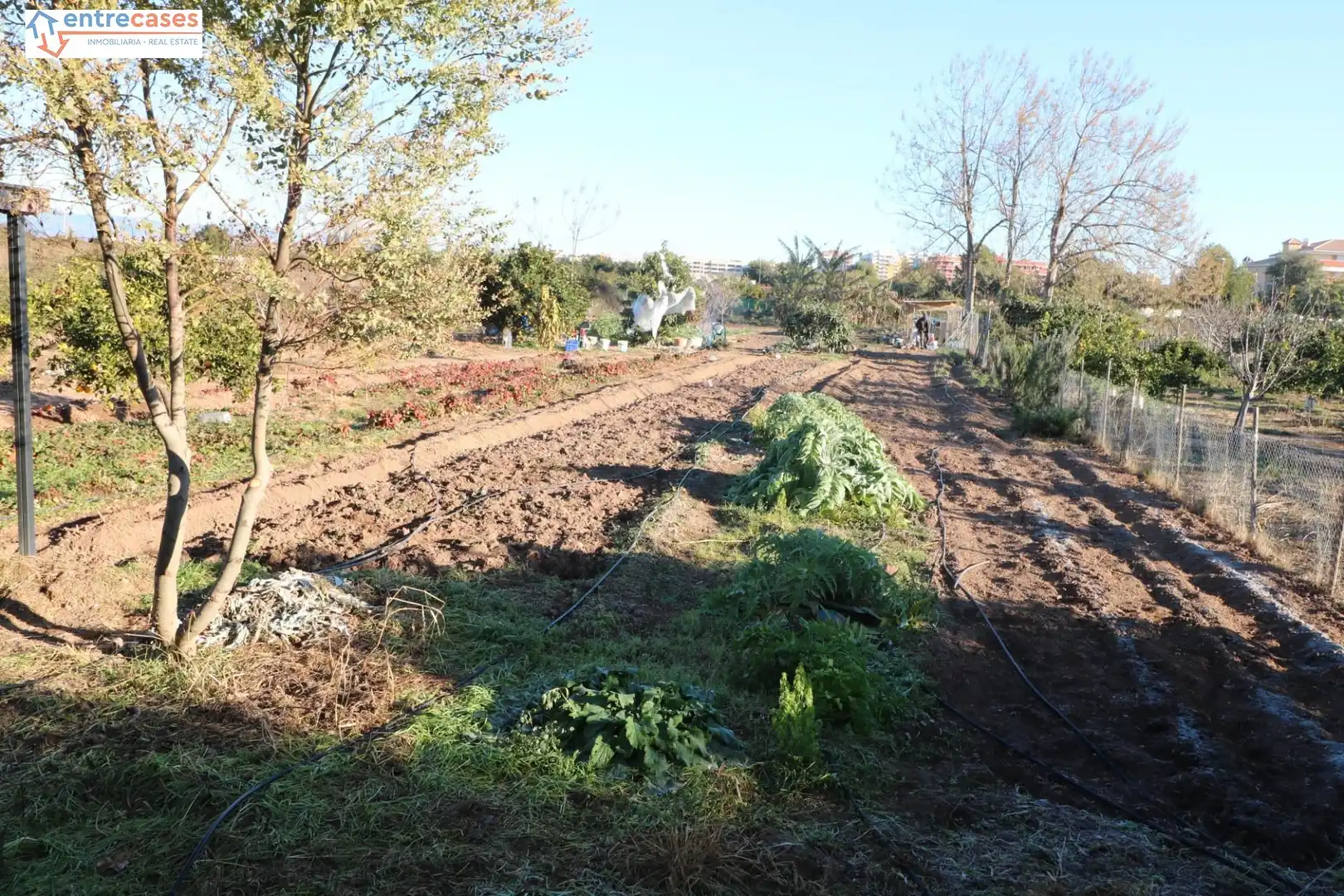 Rural land for sale in Canet d'En Berenguer, imagen 4