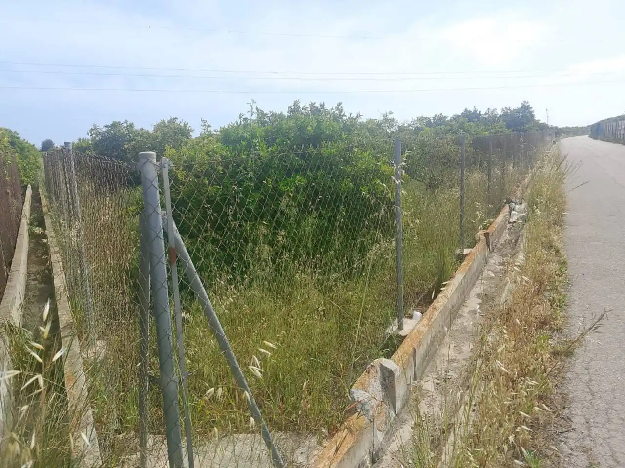 Rural land for sale in Camino Torre de los Pares, imagen 5